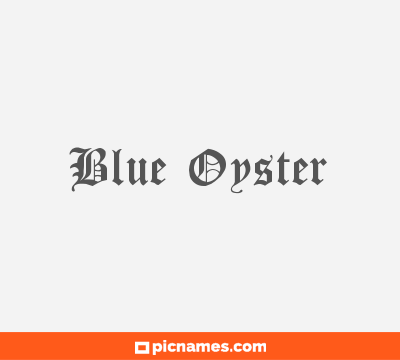 Blue Oyster